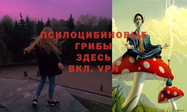 ГАЛЛЮЦИНОГЕННЫЕ ГРИБЫ Балахна