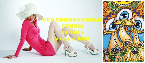 ГАЛЛЮЦИНОГЕННЫЕ ГРИБЫ Балахна