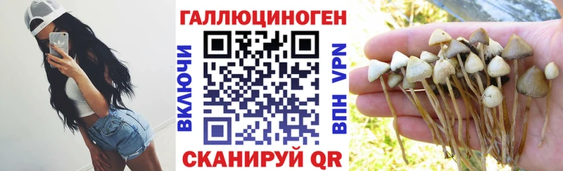 Галлюциногенные грибы ЛСД MEGA tor Пустошка где продают наркотики