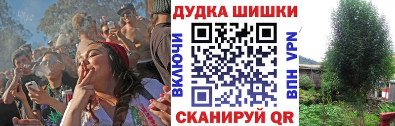 дарк нет как зайти  blacksprut как войти  Пустошка  Конопля индика 
